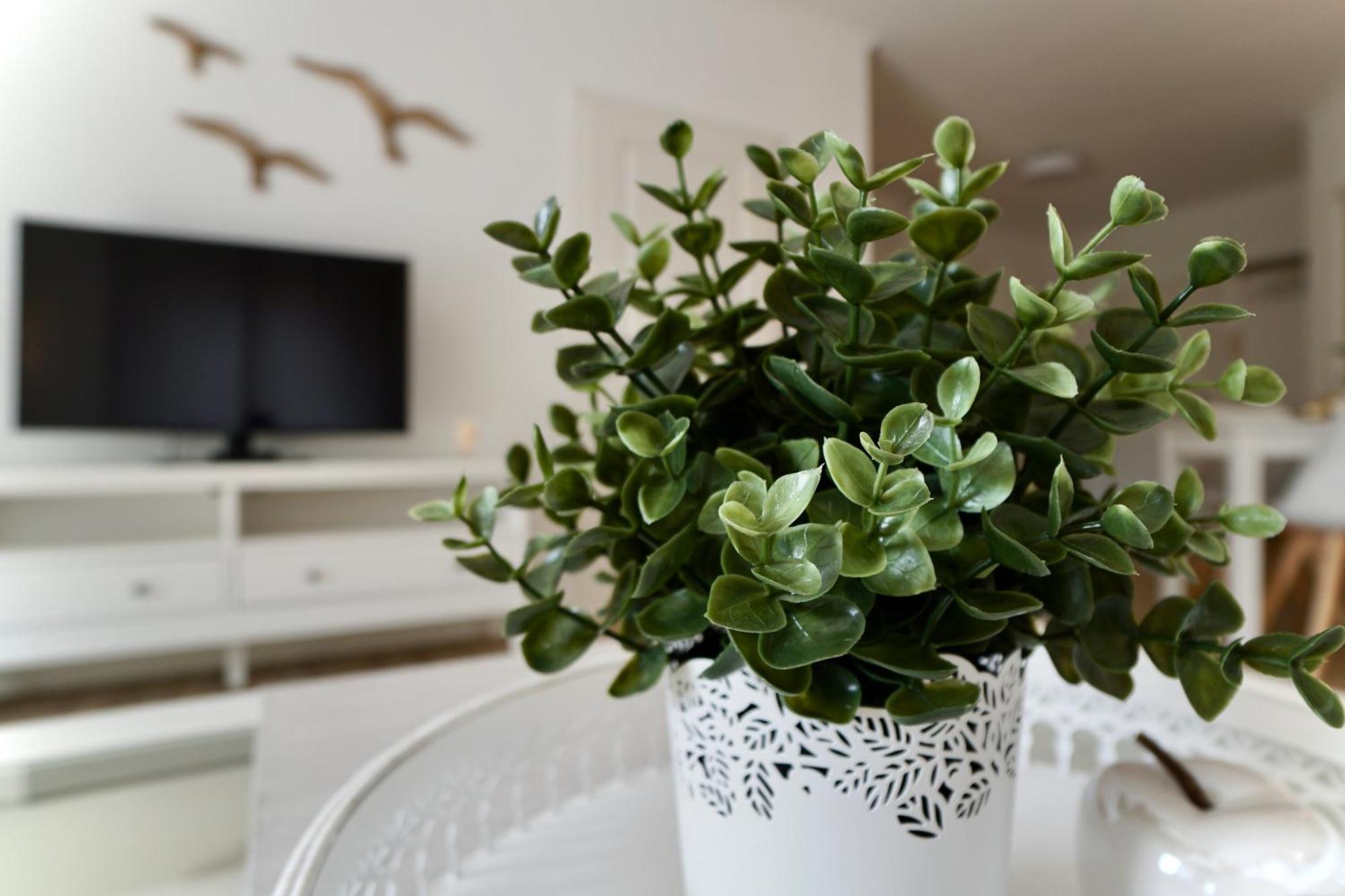 Myhome Ruegen - Haus Sonnenmeer Sellin  ห้อง รูปภาพ